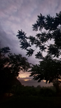 Ausblick